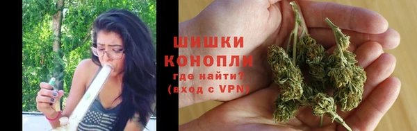 спиды Аркадак