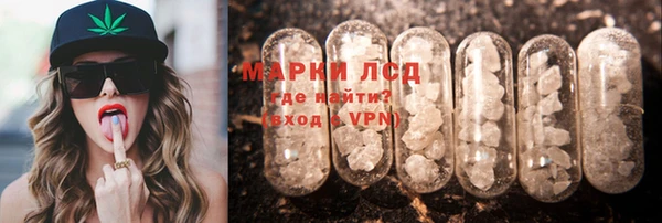 спиды Аркадак